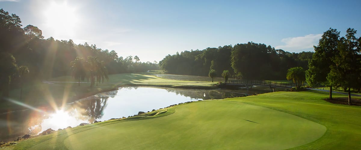 Disney's Palm Golf Course golf course view