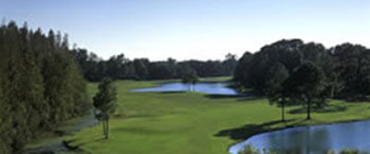 Northdale Golf Club golf course view