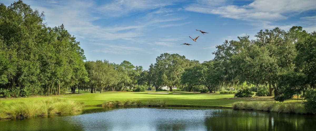World Golf Village King & Bear golf course view